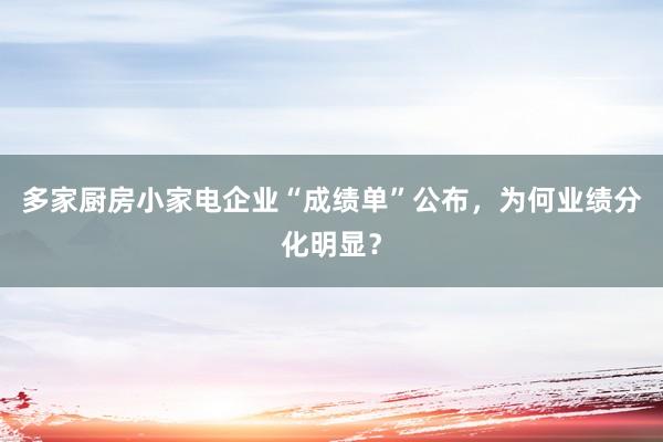 多家厨房小家电企业“成绩单”公布，为何业绩分化明显？